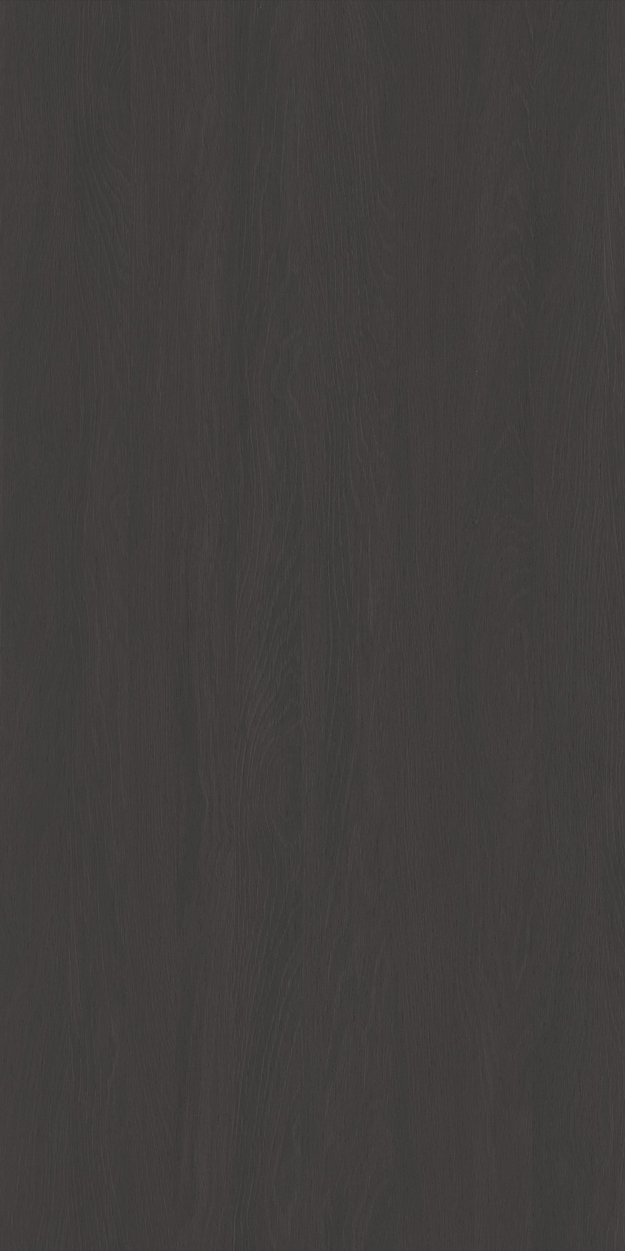MW98551