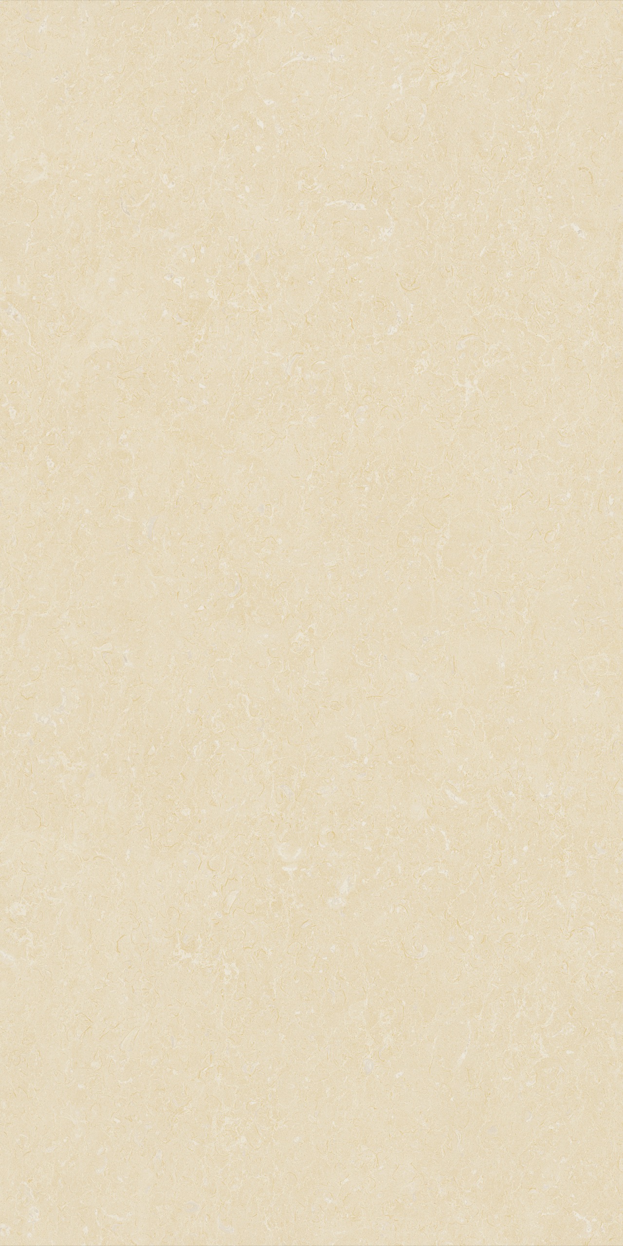 SW98581