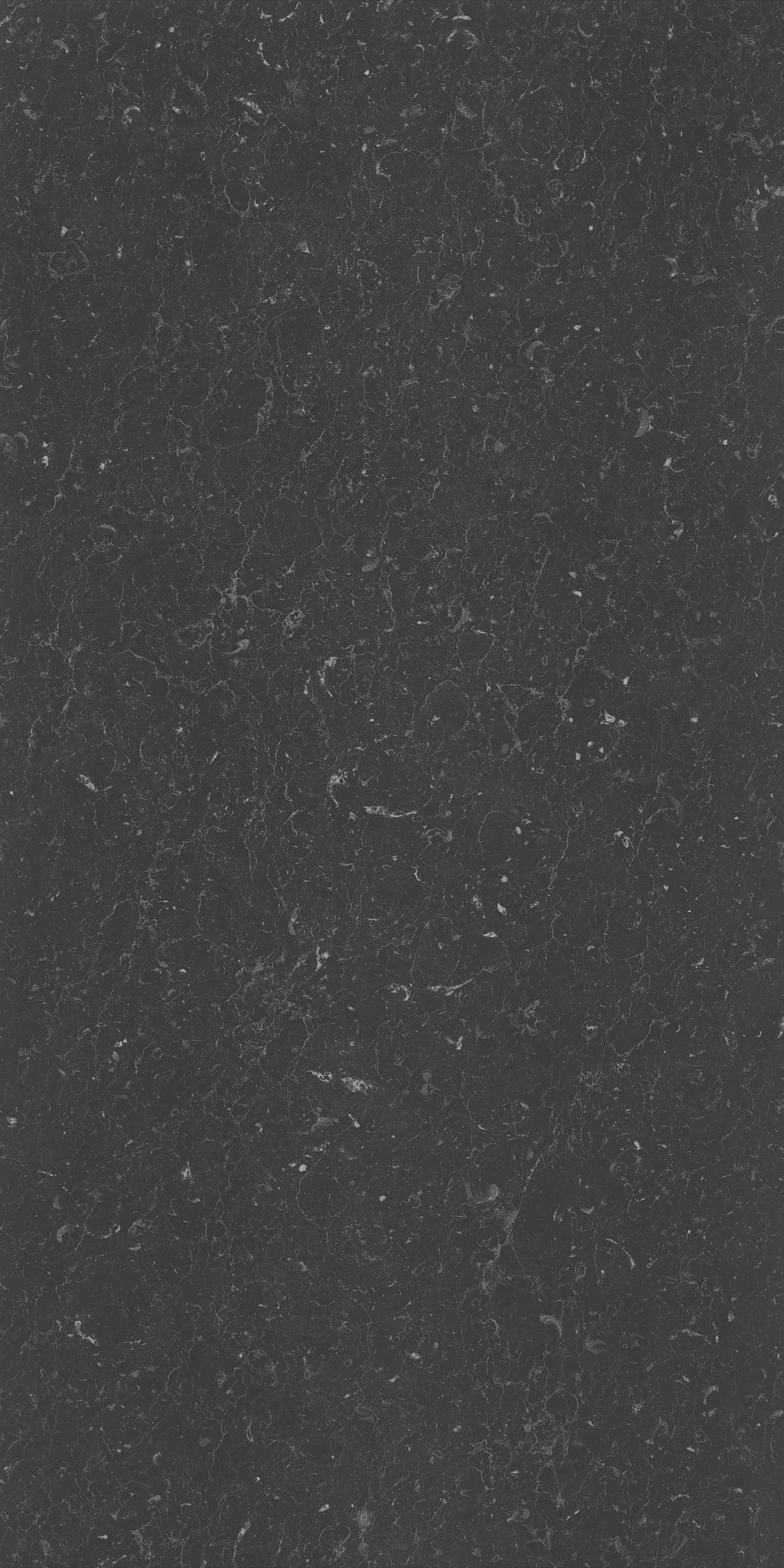 SW98582