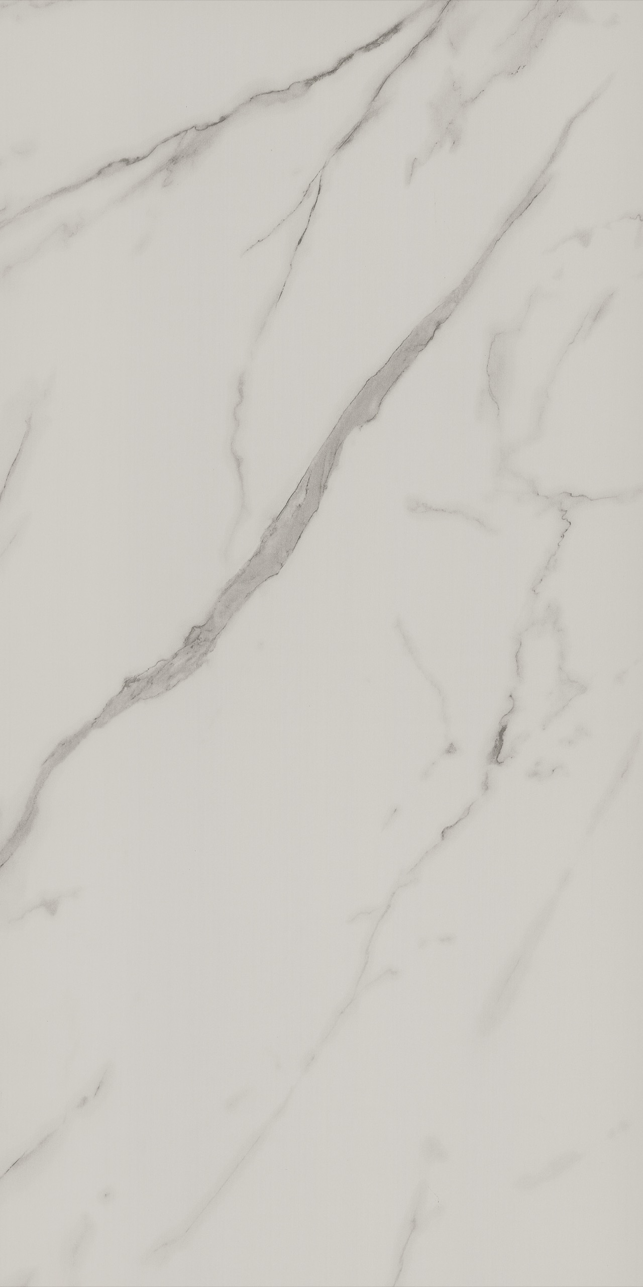 SW98584